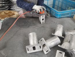 led улично светло рачка