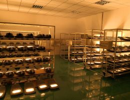 старо тестирање