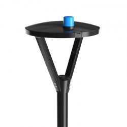 градина-осветлување